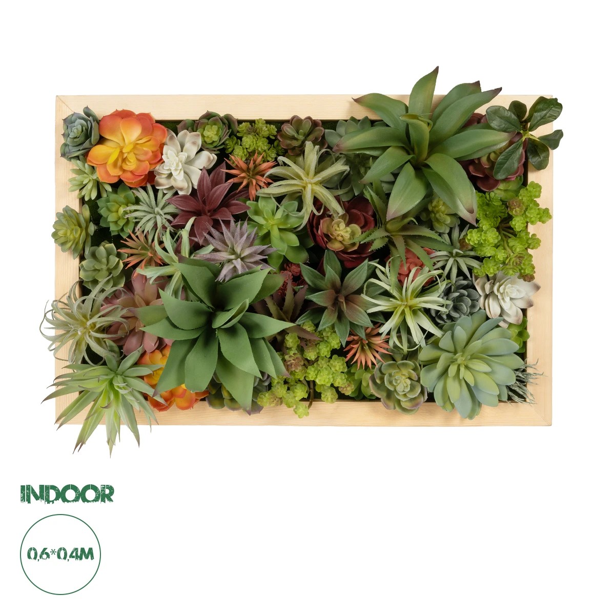 GloboStar® Artificial Garden VARIOUS PLANT 20642 Τεχνητό Διακοσμητικό Φυλλωσιάς σε Ξύλινο Πάνελ - Κάθετος Κήπος Μιξ Μ60 x Π60 x Υ20cm GloboStar® Artificial Garden VARIOUS PLANT 20642 Τεχνητό Διακοσμητικό Φυλλωσιάς σε Ξύλινο Πάνελ - Κάθετος Κήπος Μιξ Μ60 x Π60 x Υ20cm