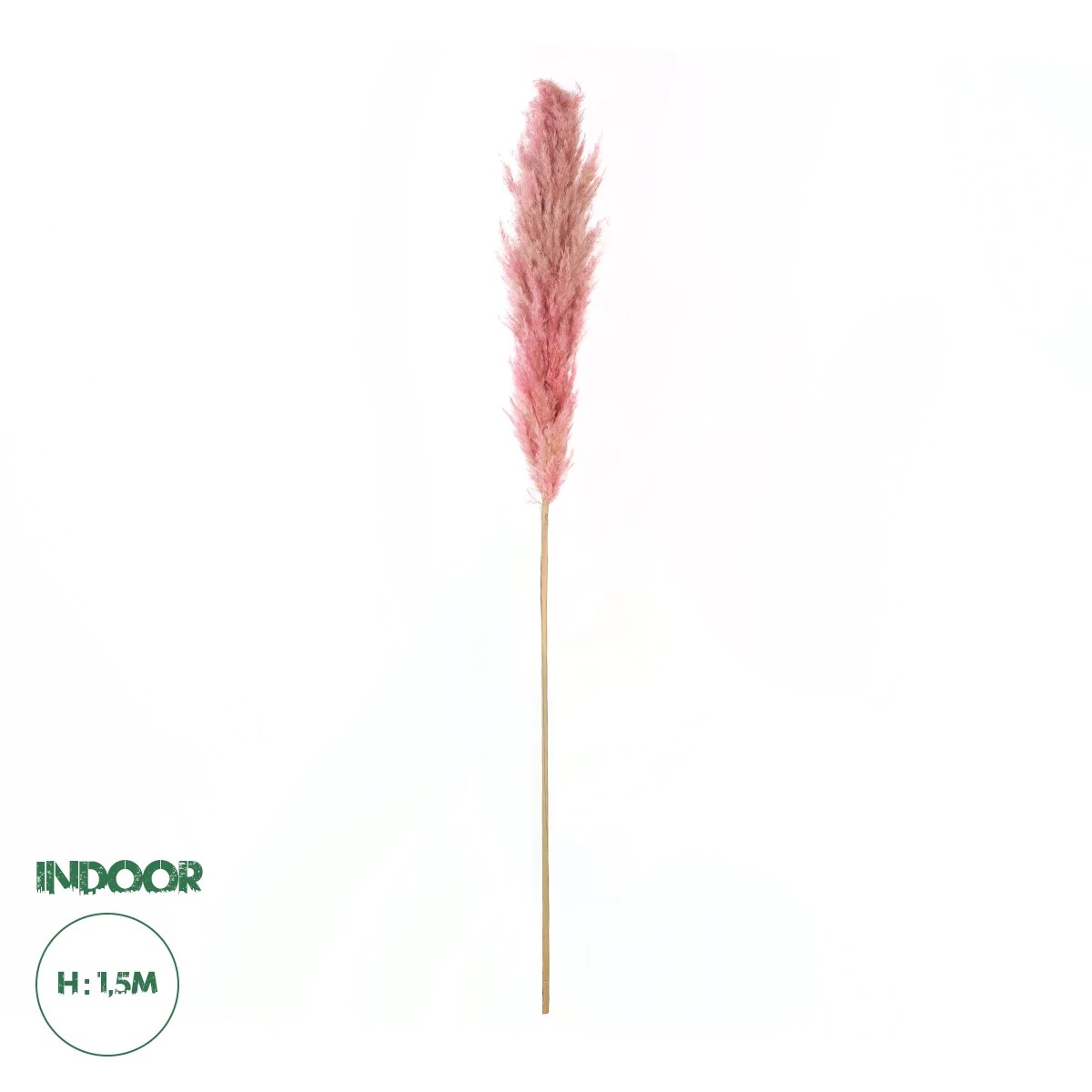 GloboStar® Artificial Garden PAMPAS GRASS 21218 Αποξηραμένο Διακοσμητικό Γρασίδι Πάμπας Μ10 x Π10 x Υ150cm GloboStar® Artificial Garden PAMPAS GRASS 21218 Αποξηραμένο Διακοσμητικό Γρασίδι Πάμπας Μ10 x Π10 x Υ150cm