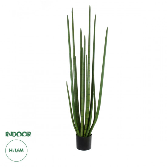 GloboStar® Artificial Garden SANSEVIERIA CYLINDRICA 20211 Τεχνητό Διακοσμητικό Φυτό Σανσεβιέρια Υ160cm GloboStar® Artificial Garden SANSEVIERIA CYLINDRICA 20211 Τεχνητό Διακοσμητικό Φυτό Σανσεβιέρια Υ160cm