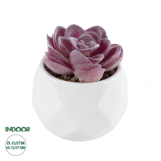 GloboStar® Artificial Garden SUCCULENT ECHEVERIA 21000 Διακοσμητικό Φυτό Παχύφυτο Εχεβέρια Υ7.5cm GloboStar® Artificial Garden SUCCULENT ECHEVERIA 21000 Διακοσμητικό Φυτό Παχύφυτο Εχεβέρια Υ7.5cm
